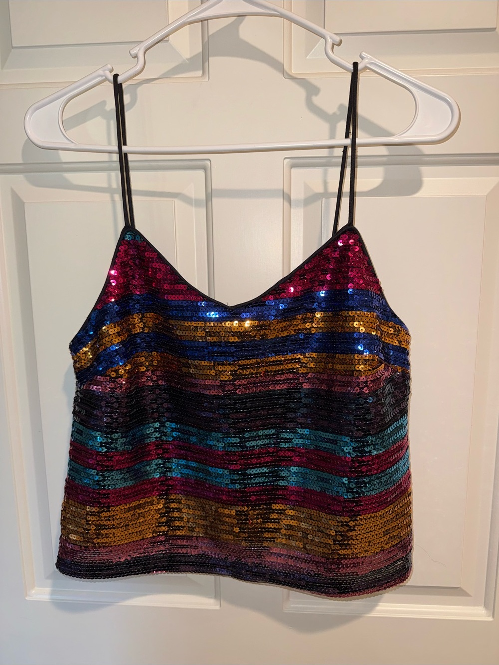 Wayf Multicolor Sequin Striped Cami Crop Top